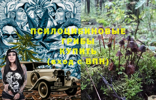 кокс Алзамай