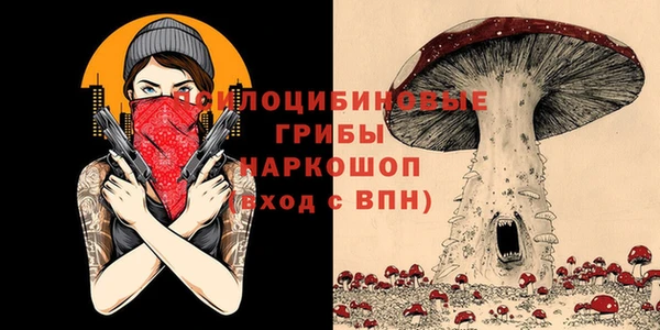 кокс Алзамай