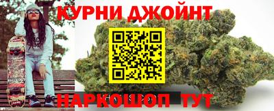 прущие грибы Пушкино