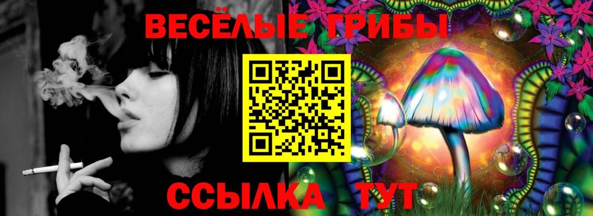 Псилоцибиновые грибы Psilocybine cubensis Санкт-Петербург