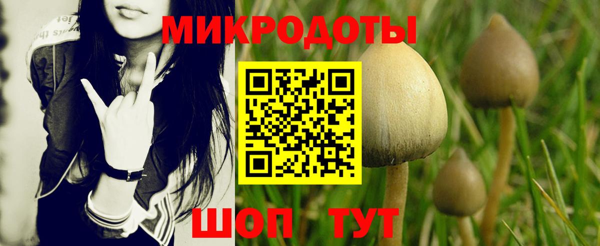 Галлюциногенные грибы Magic Shrooms  продажа наркотиков  Санкт-Петербург  Вход с VPN 